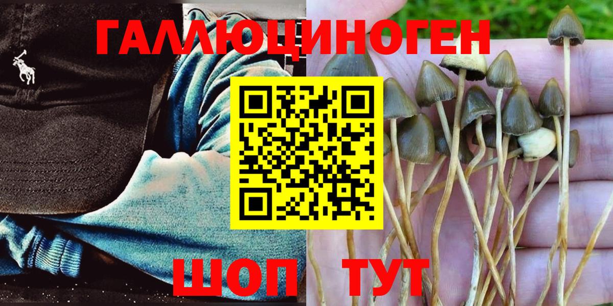 Псилоцибиновые грибы Cubensis  где купить наркоту  Сарапул  Вход с VPN 